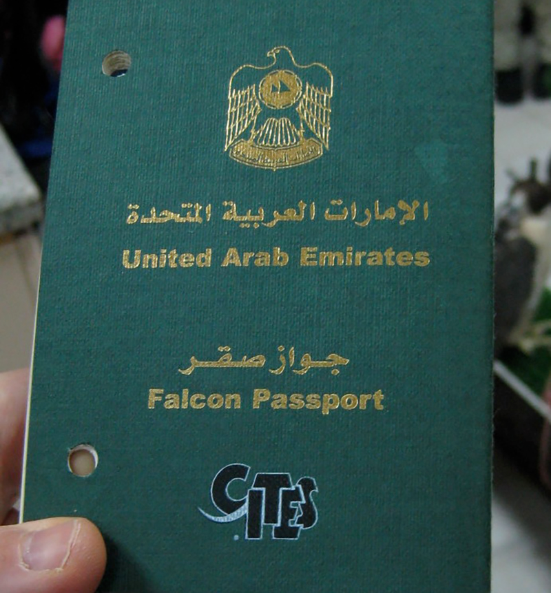 Aspecto de un pasaporte para halcones. Foto: hewy / Flickr